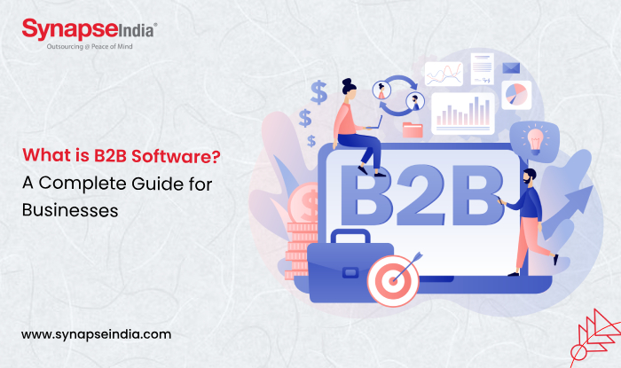 What is B2B Software - A Complete Guide for Businesses